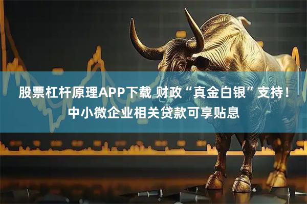 股票杠杆原理APP下载 财政“真金白银”支持！中小微企业相关贷款可享贴息