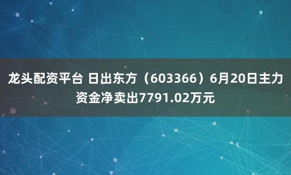 龙头配资平台 日出东方（603366）6月20日主力资金净卖出7791.02万元