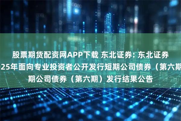 股票期货配资网APP下载 东北证券: 东北证券股份有限公司2025年面向专业投资者公开发行短期公司债券（第六期）发行结果公告