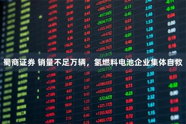 蜀商证券 销量不足万辆，氢燃料电池企业集体自救