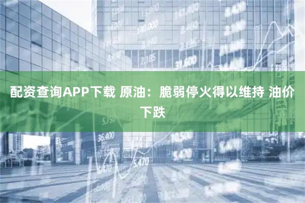 配资查询APP下载 原油：脆弱停火得以维持 油价下跌
